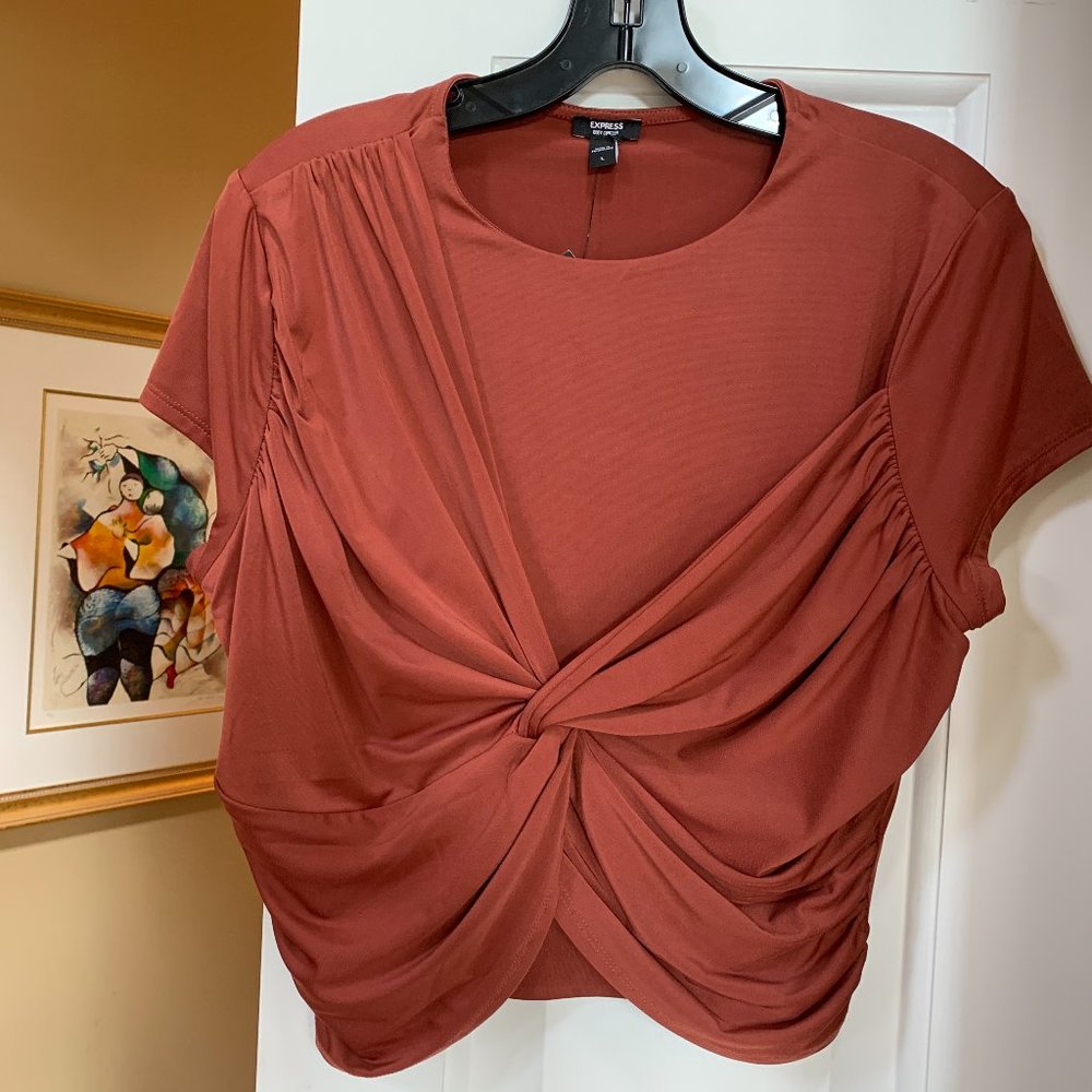 NWT -Express Body Contour Copper Crop Top with Twist  Sz L